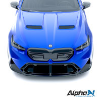 ALPHA-N Carbon Frontspoiler 3tlg. passend für M5 G9x