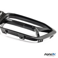 ALPHA-N CORSE CARBON Grill passend für BMW M2 F87 Competition